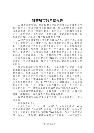 对某城市的考察报告