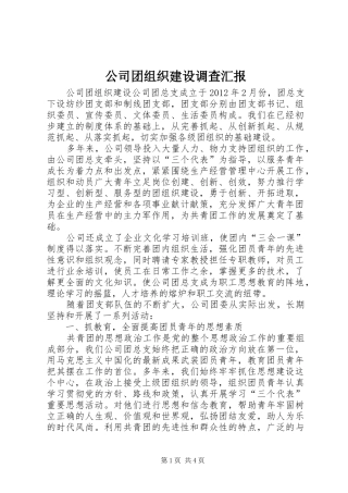 公司团组织建设调查汇报