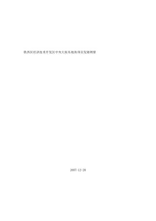 沈阳铁西区经济技术开发区中央大街东地块项目发展报告-38DOC