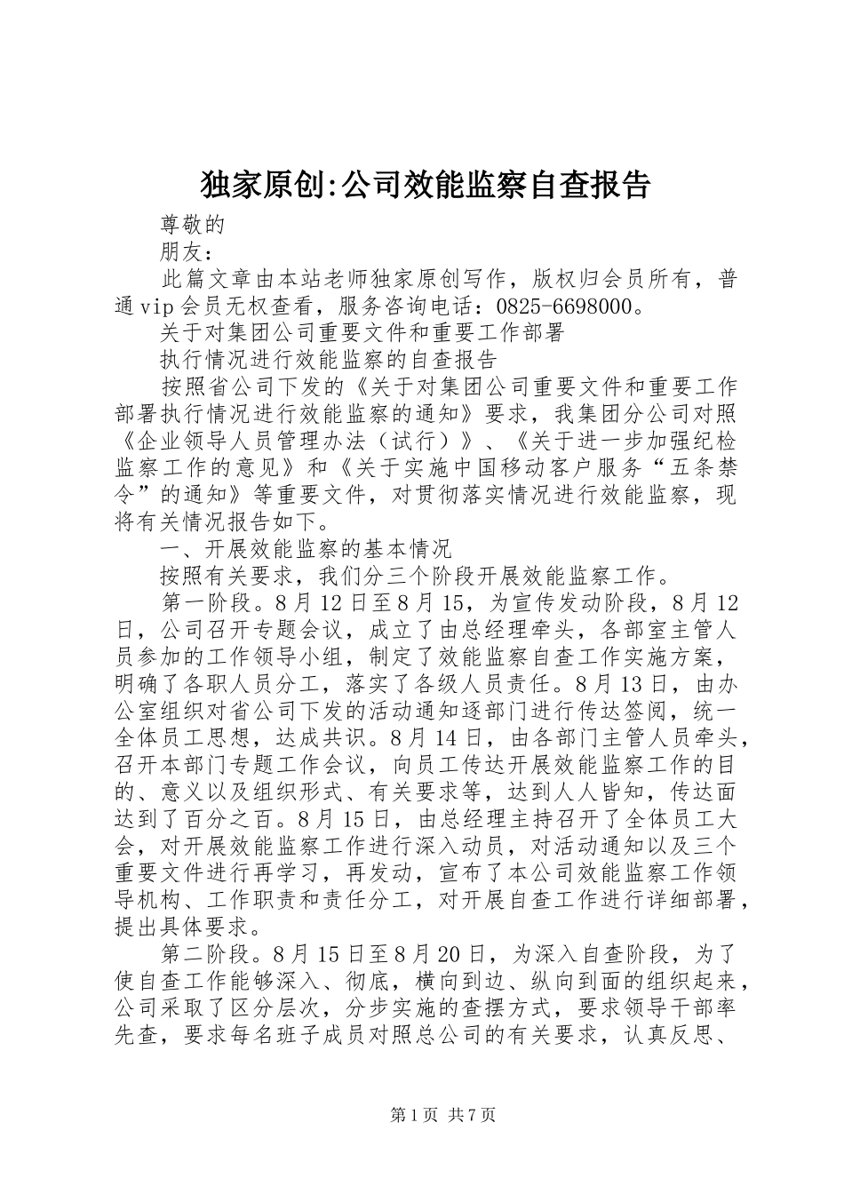 独家原创-公司效能监察自查报告_第1页