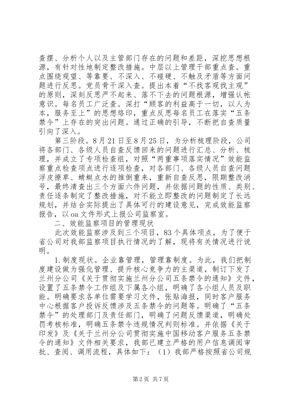 独家原创-公司效能监察自查报告_第2页