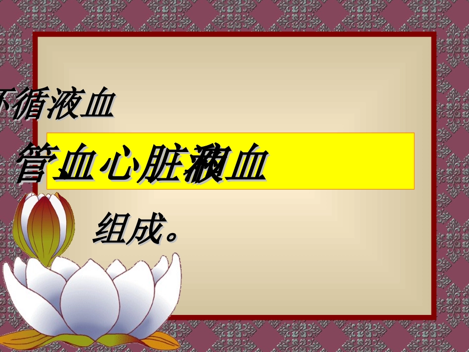 血液循环系统PPT课件_第3页