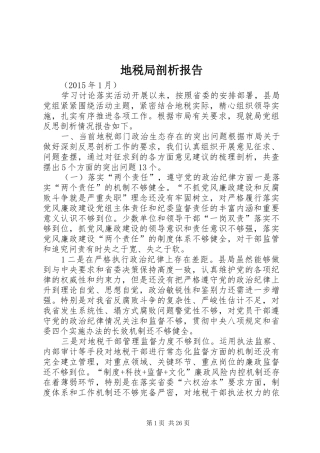 地税局剖析报告