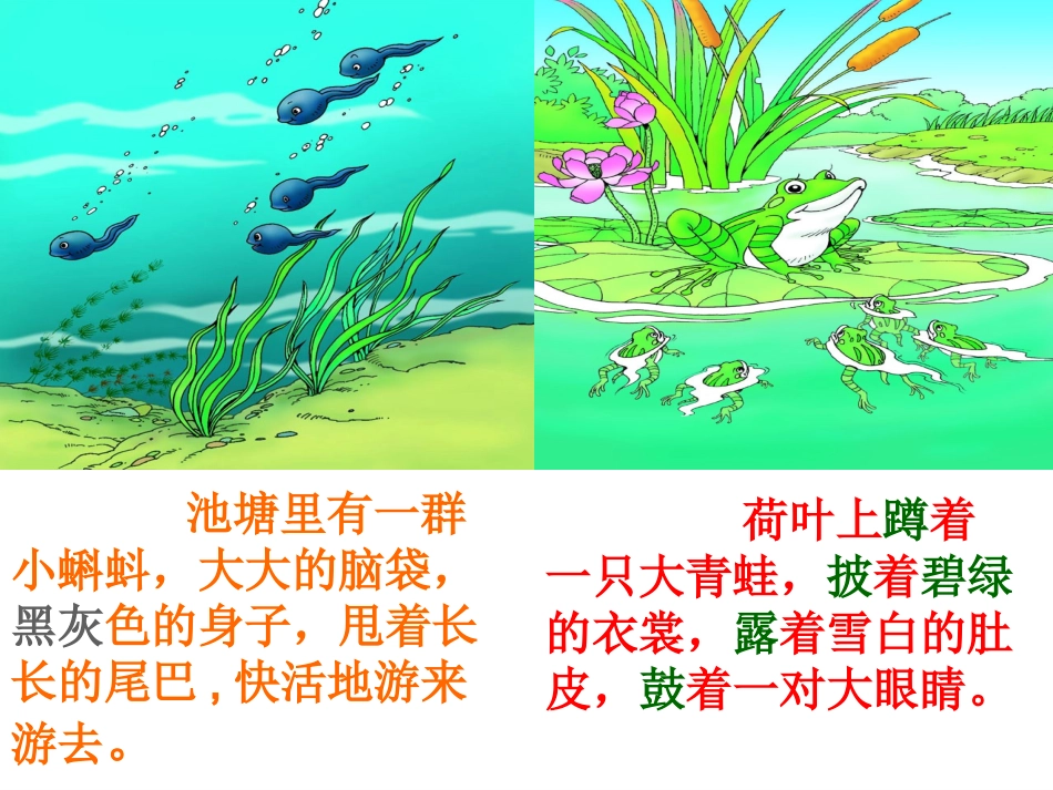 小蝌蚪找妈妈 (2)_第3页