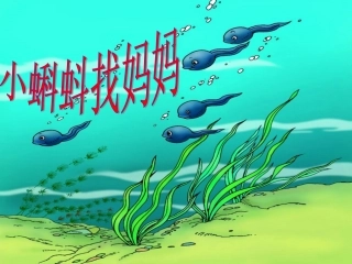 小蝌蚪找妈妈 (2)