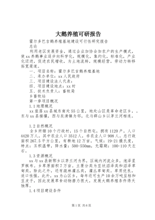 大鹅养殖可研报告