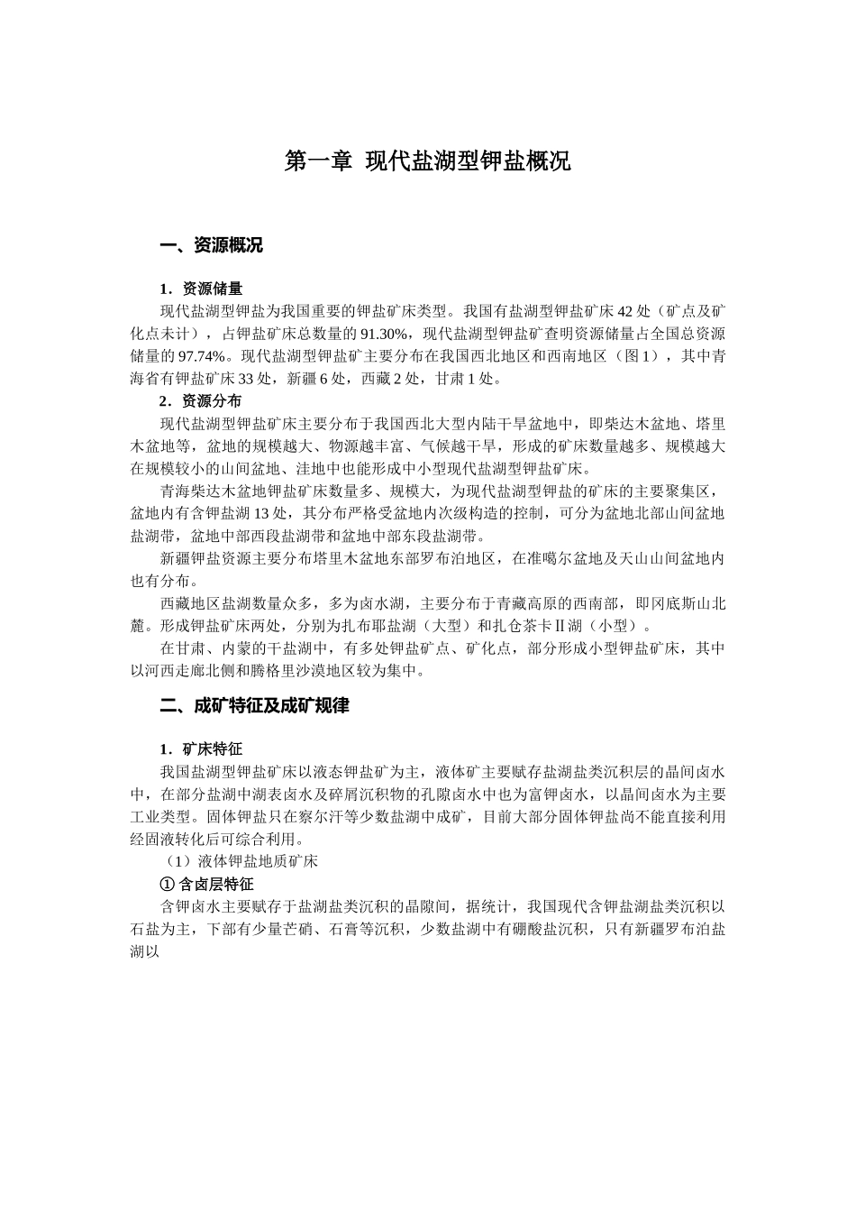 现代盐湖型钾盐矿预测方法及流程_第3页