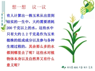 绿色植物与生物圈的水循环