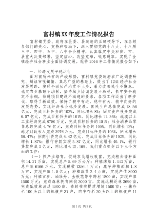 富村镇XX年度工作情况报告