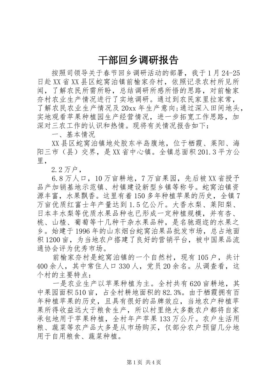 干部回乡调研报告_第1页