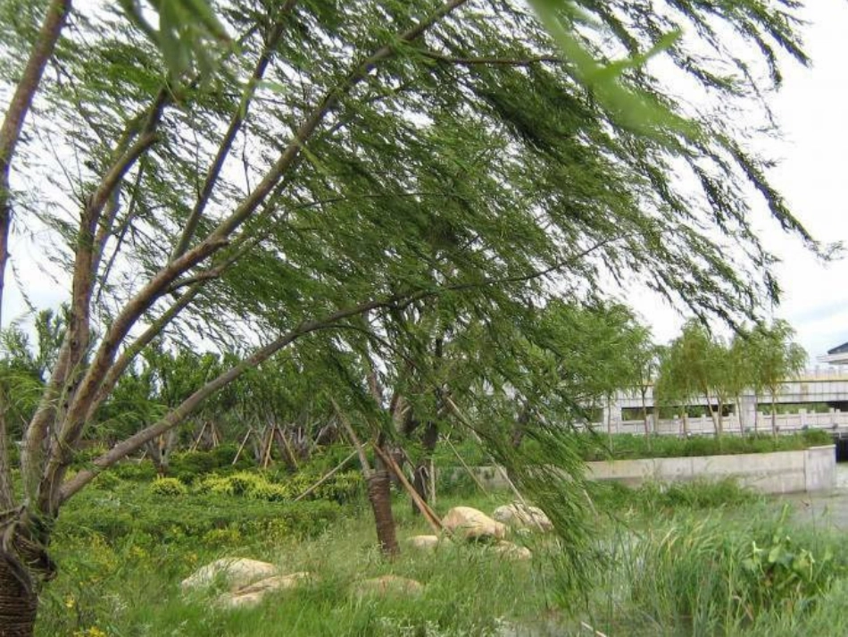 《风向和风速》_第3页