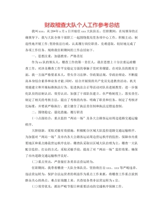 财政稽查大队个人工作参考总结