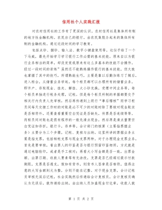 信用社个人实践汇报