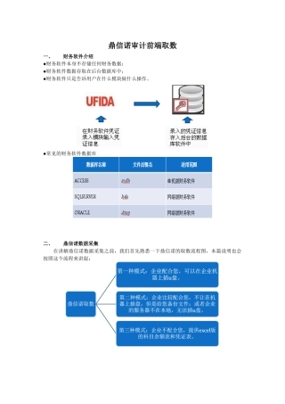 鼎信诺审计前端取数