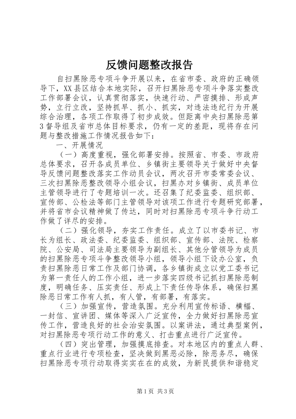反馈问题整改报告_第1页