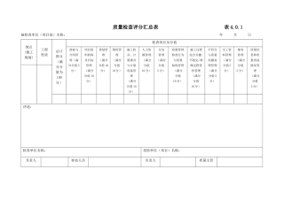 质量检查评分表XXXX版(适合检查分公司)