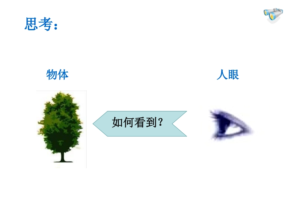 眼睛和眼镜+flash课件_第2页