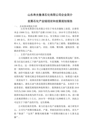 山东寿光鲁清石化产业链和十二五规划11