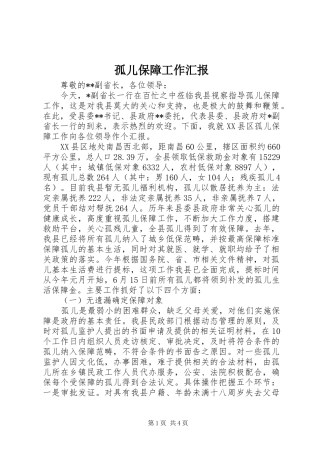 孤儿保障工作汇报