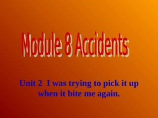外研（新标准）版++八年级上++Module+8+Accidents++Unit+2+I+was+trying+to+pick+it+up+when+it+bite+me+again（共18张PPT）