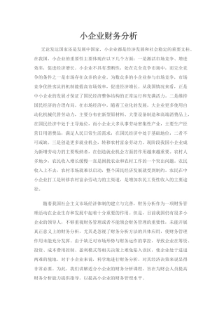 小企业财务分析