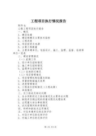 工程项目执行情况报告