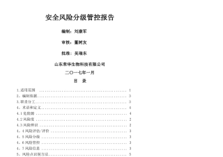 安全风险分级管控报告