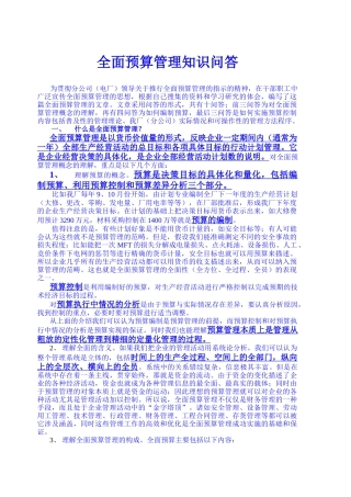 上海某电厂全面预算资料