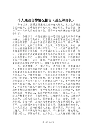 个人廉洁自律情况报告（县组织部长）