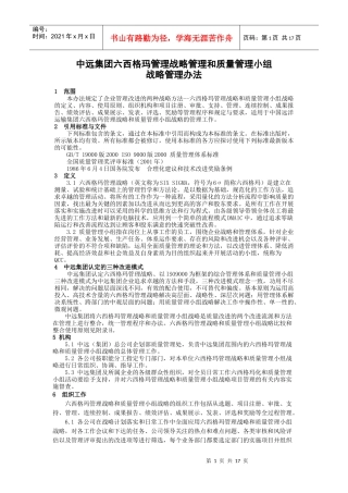中远集团六西格玛管理战略管理和质量管理小组