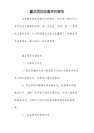 重点项目自查评价报告