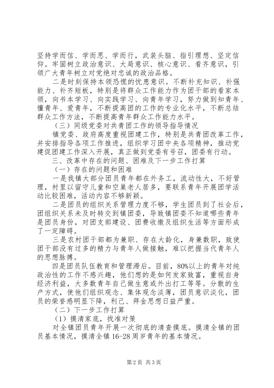 关于共青团改革工作自查报告_第2页