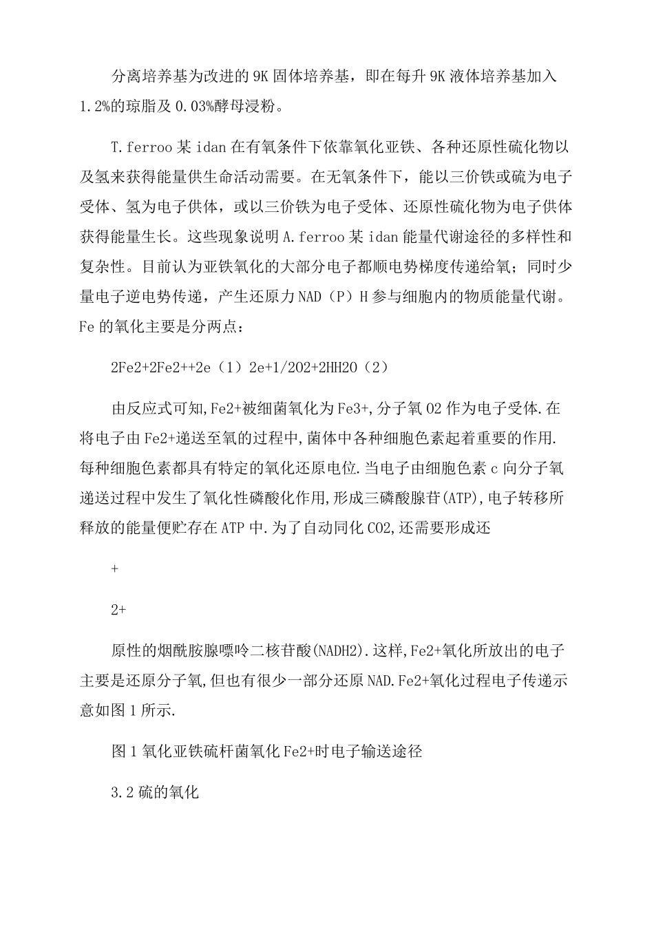氧化亚铁硫杆菌_第2页