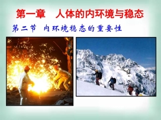 高中生物《12内环境稳态的重要性》课件新人教版必修3