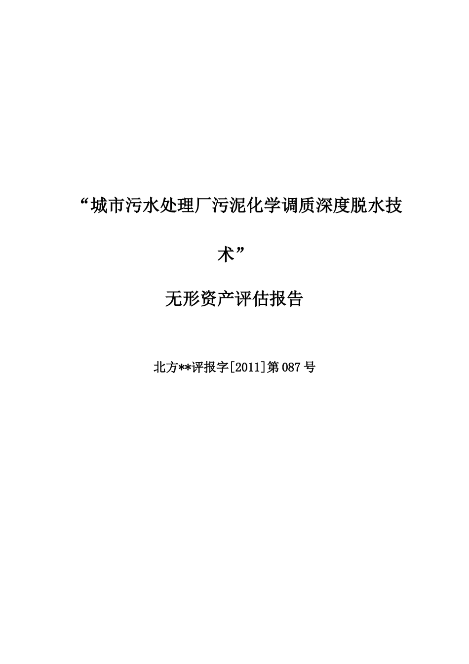 污泥焚烧技术无形资产评估报告_第2页
