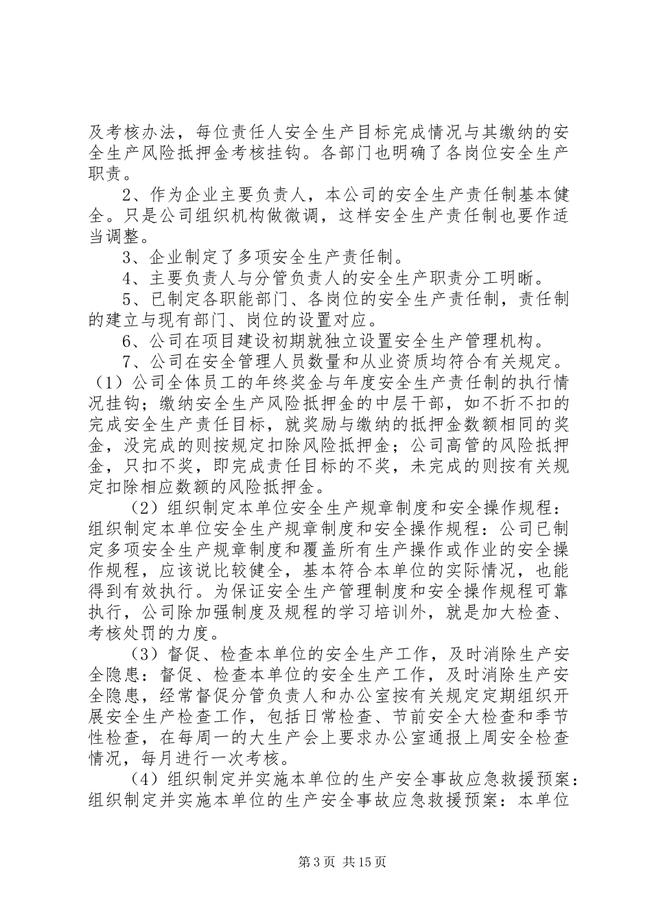 公司负责人安全生产履职情况报告[1]_第3页