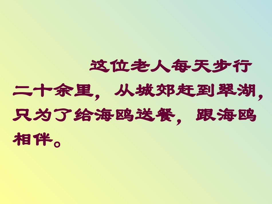 老人与海鸥课件(3)_第2页