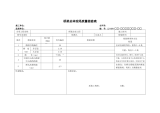 桥梁总体现场质量检验表(检验总表)