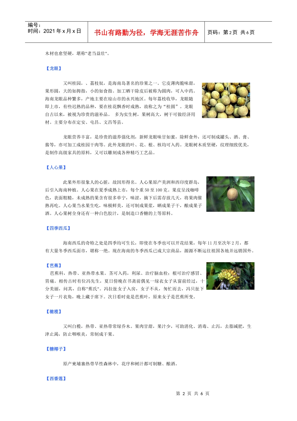 海南热带、亚热带水果种类繁多，品质优良_第2页