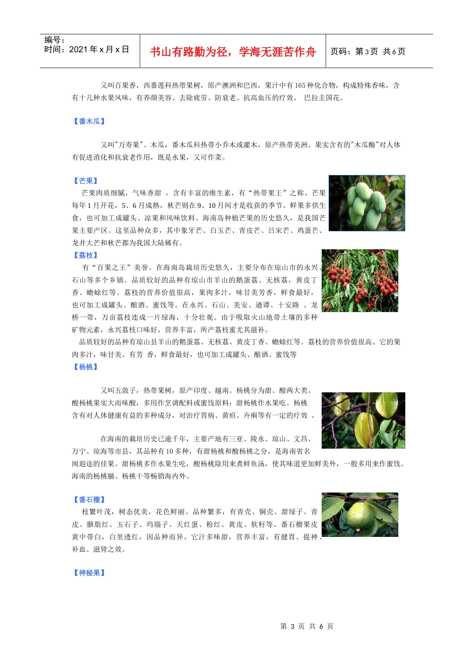 海南热带、亚热带水果种类繁多，品质优良_第3页