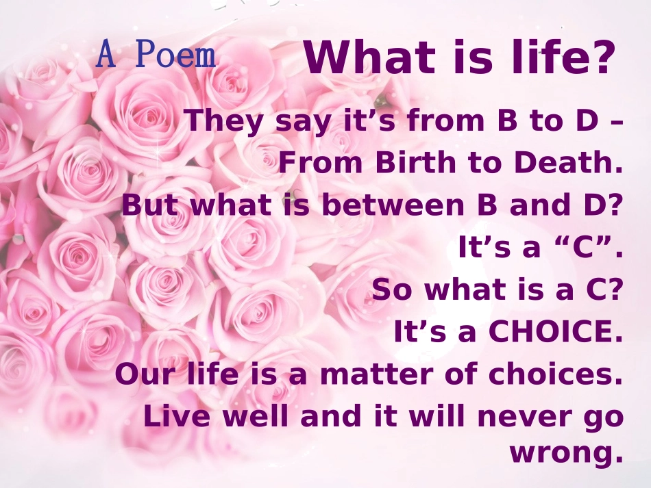 荆楚名师和全国优秀教师艺术展示会南京外校杨梦老师的课件_第3页