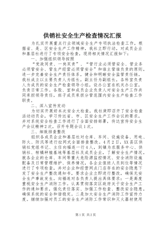 供销社安全生产检查情况汇报