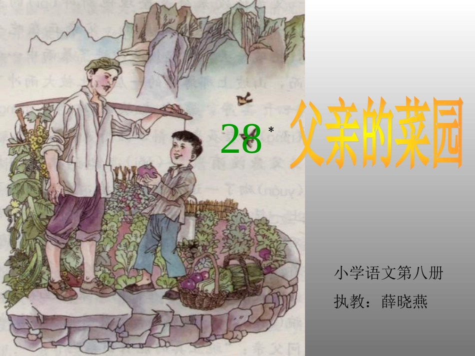 父亲的菜园（示范课）_第1页