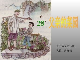 父亲的菜园（示范课）