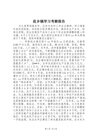 赴乡镇学习考察报告