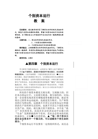 个别资本运行