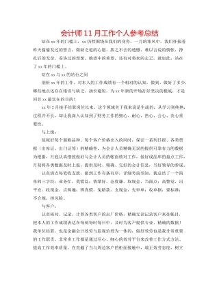 会计师11月工作个人参考总结