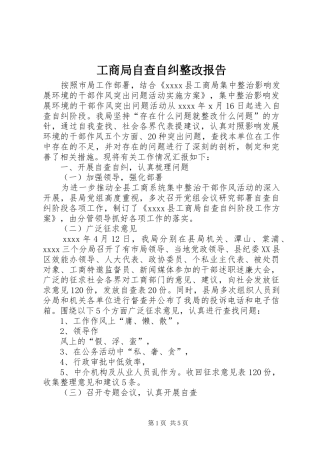 工商局自查自纠整改报告
