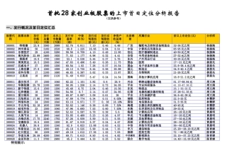 首批28家创业板股票的上市首日定位分析报告