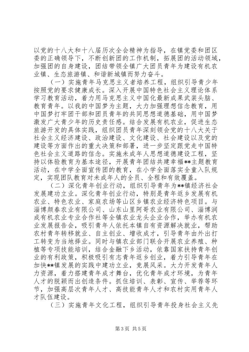 共青团工作报告_第3页